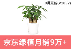京东绿植类目销售额从32502到98856