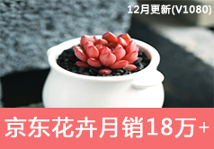 京东花卉销售额从71434到180006